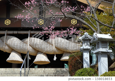 浪漫的茨城(春分時節,我去參拜了一座神社。溫暖的天氣裡,河津櫻花盛開。)日立國出雲大神社 浪漫的茨城(春分時節,我去參拜了一座神社。溫暖的天氣裡,河津櫻花盛開。)日立國出雲大神社 138018653