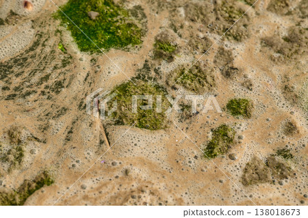 Overhead view of toxic algal bloom, moss, and bubbles polluting a lake or pond environment 138018673
