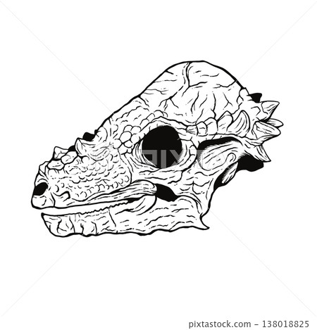 A fossilized skull of a Pachycephalosaurus (monochrome). A fossilized skull of a Pachycephalosaurus (monochrome). 138018825
