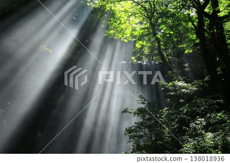 Light Letting Valley Light Letting Valley 138018936