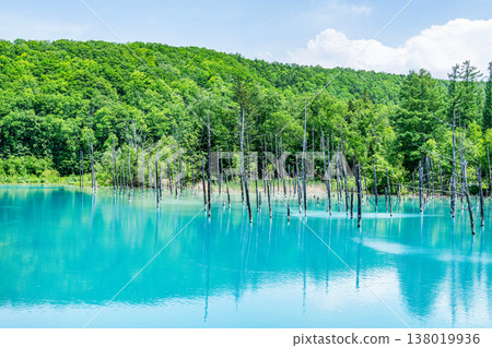 Biei Town, Hokkaido: Summer in Hokkaido - Shirogane Blue Pond Biei Town, Hokkaido: Summer in Hokkaido - Shirogane Blue Pond 138019936