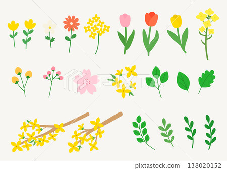 Vector illustration of a set of plant illustrations. Vector illustration of a set of plant illustrations. 138020152