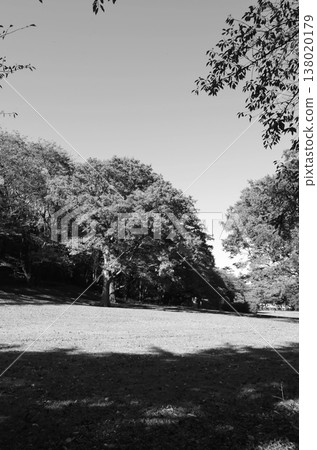 A peaceful time spent in a lush green park in Tokyo 138020179