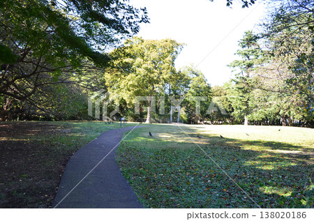 在東京鬱鬱蔥蔥的公園度過了一段寧靜的時光 138020186