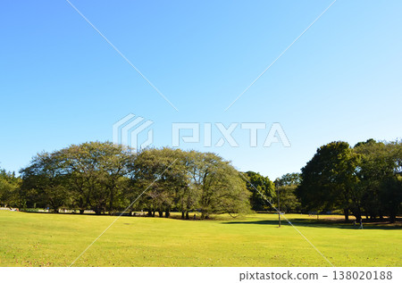 在東京鬱鬱蔥蔥的公園度過了一段寧靜的時光 在東京鬱鬱蔥蔥的公園度過了一段寧靜的時光 138020188