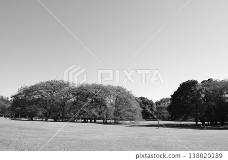 在東京鬱鬱蔥蔥的公園度過了一段寧靜的時光 在東京鬱鬱蔥蔥的公園度過了一段寧靜的時光 138020189