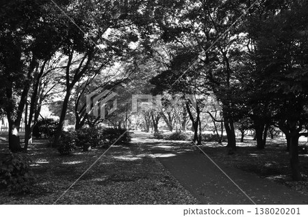 在東京鬱鬱蔥蔥的公園度過了一段寧靜的時光 在東京鬱鬱蔥蔥的公園度過了一段寧靜的時光 138020201