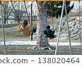 Parents playing with a swing in a park 138020464