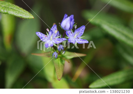 Chishima Assembly (Shikaoi Town, Hokkaido) 138021230