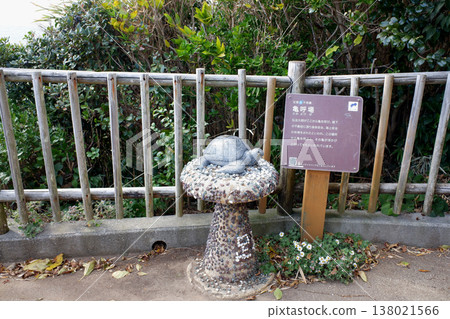 足雀七奇觀 - 龜叫場,高知縣土佐水市 足雀七奇觀 - 龜叫場,高知縣土佐水市 138021566