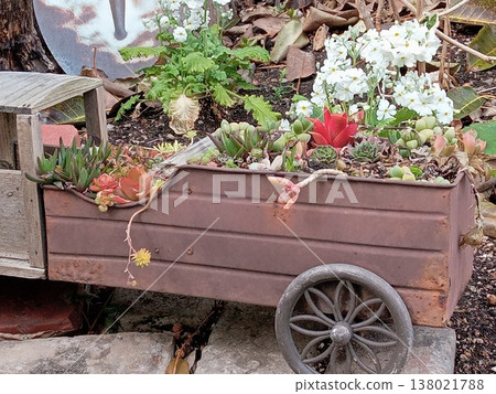 一個卡車形狀的花盆和鮮花 一個卡車形狀的花盆和鮮花 138021788