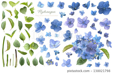藍色和紫色繡球花水彩顏料套裝 138021798