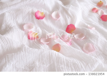 Pink rose petals 138021954