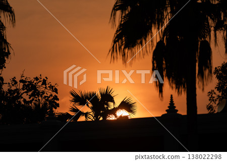 Silhouette of palm trees against a glowing orange sunset sky creating a tropical landscape with warm evening atmosphere. Silhouette of palm trees against a glowing orange sunset sky creating a tropical landscape with warm evening atmosphere. 138022298
