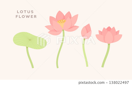 Lotus element set with modern minimal grain texture 138022497