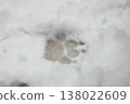積雪覆蓋的地面，狗的腳印 138022609