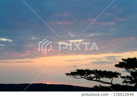 The sky is tinged with the morning glow, and the silhouettes of pine trees stand against it—a scene of dawn. The sky is tinged with the morning glow, and the silhouettes of pine trees stand against it—a scene of dawn. 138022646