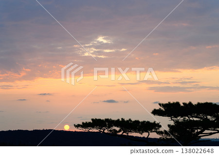 The sky is tinged with the morning glow, and the silhouettes of pine trees stand against it—a scene of dawn. 138022648