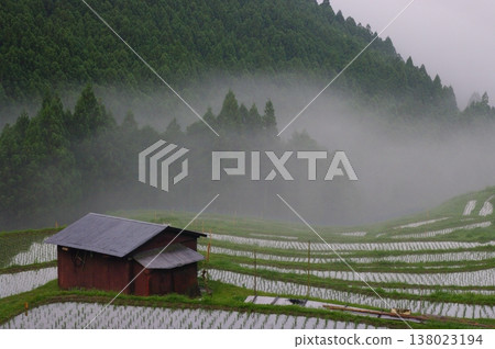 In June, the rice planting is finished at Maruyama Senmaida in Kumano City, Mie Prefecture, and delicious rice will be harvested in the autumn. In June, the rice planting is finished at Maruyama Senmaida in Kumano City, Mie Prefecture, and delicious rice will be harvested in the autumn. 138023194