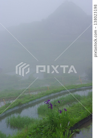 In June, the rice planting is finished at Maruyama Senmaida in Kumano City, Mie Prefecture, and delicious rice will be harvested in the autumn. In June, the rice planting is finished at Maruyama Senmaida in Kumano City, Mie Prefecture, and delicious rice will be harvested in the autumn. 138023198