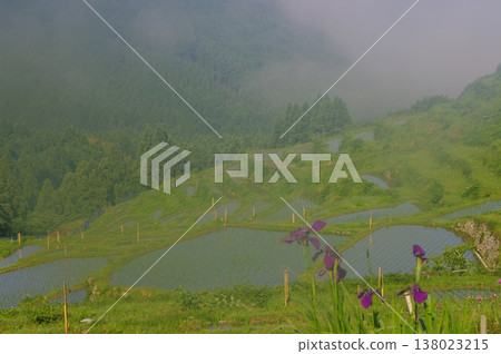 6 月,三重縣熊野市丸山千枚田的稻米種植工作完成,秋季將收穫美味的米。 6 月,三重縣熊野市丸山千枚田的稻米種植工作完成,秋季將收穫美味的米。 138023215