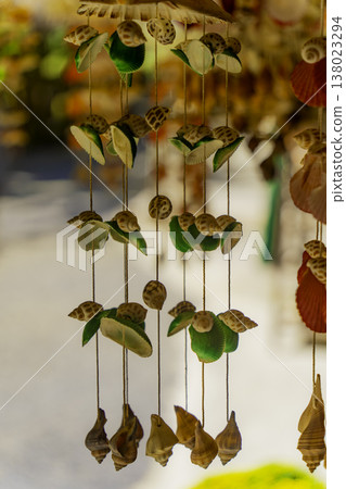 Seashells. 138023294