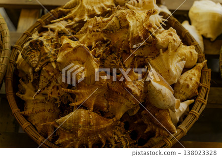 Seashells. 138023328