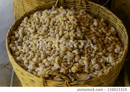 Seashells. Seashells. 138023329
