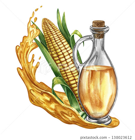 Corn oil. Hand-drawn watercolor illustration. Whole corn cob, oil bottle, and oil splash. Perfect for labels and packaging, as well as menus, banners, posters, and more. Corn oil. Hand-drawn watercolor illustration. Whole corn cob, oil bottle, and oil splash. Perfect for labels and packaging, as well as menus, banners, posters, and more. 138023612