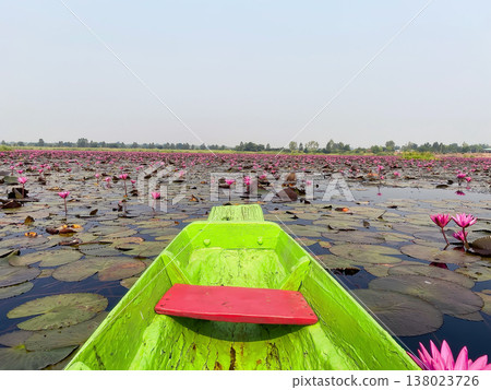 Boat journey across blooming lotus lake 138023726