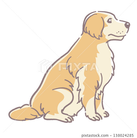 一隻金毛犬的插畫素材。向量圖。 138024285