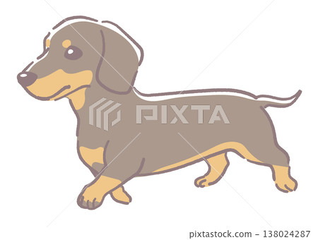 一隻迷你臘腸犬的插畫材料。向量圖。 138024287