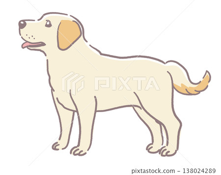 拉布拉多犬插圖。向量圖素材。 138024289