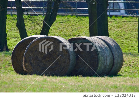 Large Round Hay Bales in a Green Field with Trees in the Background. Large Round Hay Bales in a Green Field with Trees in the Background. 138024312