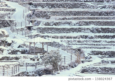 Snow-covered Yotsuya Senmaida rice terraces 138024367