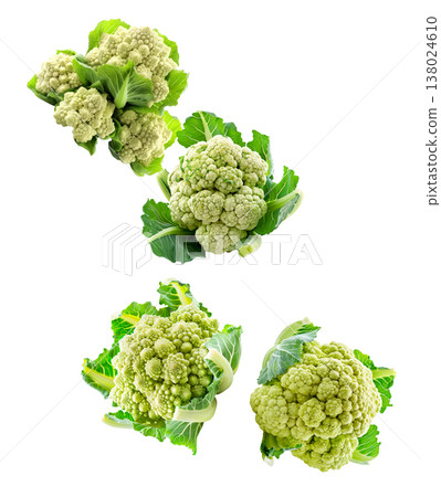 Multiple fresh green cauliflower heads isolated on white background, concept of healthy food and vegetables Multiple fresh green cauliflower heads isolated on white background, concept of healthy food and vegetables 138024610