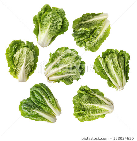 Multiple fresh romaine lettuce heads arranged in a scattered pattern isolated on white background, healthy organic food concept 138024630