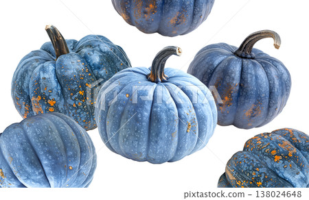 Set of blue pumpkins with orange speckles, isolated on white background. Concept of unique autumn harvest decoration Set of blue pumpkins with orange speckles, isolated on white background. Concept of unique autumn harvest decoration 138024648