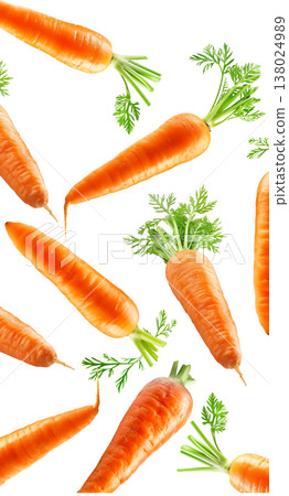 Bunches of fresh orange carrots with green tops arranged in a scattered layout isolated on white background, organic healthy food Bunches of fresh orange carrots with green tops arranged in a scattered layout isolated on white background, organic healthy food 138024989