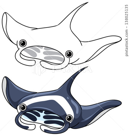 Cute Cartoon Manta Ray Vector Illustration in Color and Line Art 138025135