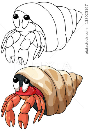 Cute Hermit Crab Vector Illustration in Color and Line Art 138025167