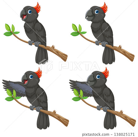 Cartoon Black Cockatoo Set on Branch with Expressions 138025171