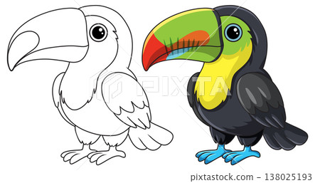 Cute Cartoon Toucan Illustration in Color and Line Art Versions Cute Cartoon Toucan Illustration in Color and Line Art Versions 138025193