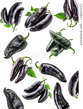 Fresh black jalapeno peppers with green stems and leaves arranged and isolated on white background, concept for food themes Fresh black jalapeno peppers with green stems and leaves arranged and isolated on white background, concept for food themes 138025557