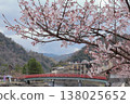 Edo Higan Cherry Blossoms, Uji City, Kyoto Prefecture 138025652