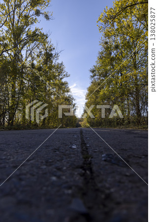 a landscape on a rural highway with trees growing on the side of the road during leaf fall 138025877
