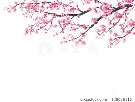 Blooming sakura branch rectangular frame with delicate pink cherry tree flowers. Hand drawn watercolor illustration Soft natural template on isolated white background for spring design, greeting cards Blooming sakura branch rectangular frame with delicate pink cherry tree flowers. Hand drawn watercolor illustration Soft natural template on isolated white background for spring design, greeting cards 138026116