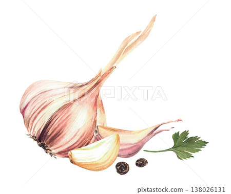 Watercolor Garlic whole bulb and cloves with black pepper corns and parsley. Vegetables and herbs spices for culinary fragrant seasoning label, pickling recipe. Illustration isolated from background. Watercolor Garlic whole bulb and cloves with black pepper corns and parsley. Vegetables and herbs spices for culinary fragrant seasoning label, pickling recipe. Illustration isolated from background. 138026131