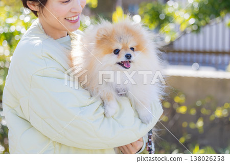 一隻博美犬被抱著散步 一隻博美犬被抱著散步 138026258