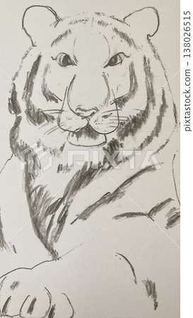 Realistic pen drawing of a tiger 138026515
